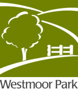 Hartford summer camps